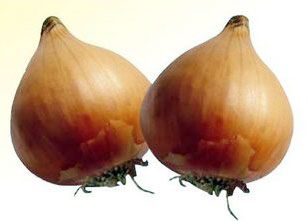 Mayur Lasgaon Onion Seeds