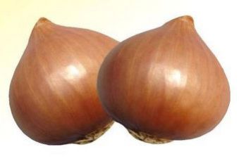 Mayur Light Red Onion Seeds