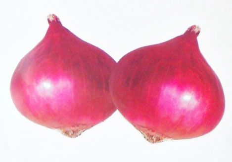 Mayur Nashik Red Onion Seeds