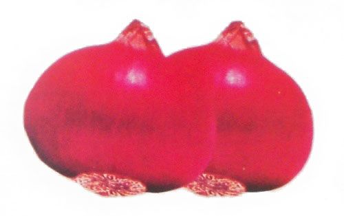 Mayur Selection Onion Seeds