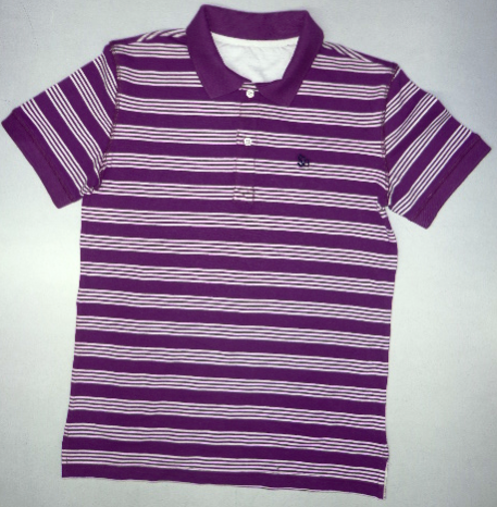 Mens Half Sleeve Polo T-Shirt 02