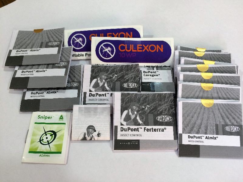 Brochure Designing & Printing 01