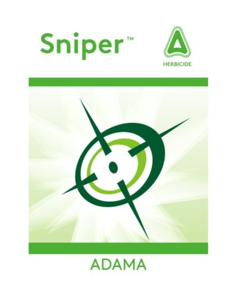 Brochure Designing & Printing 03