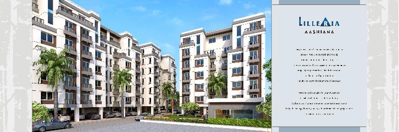 Brochure Designing & Printing 05