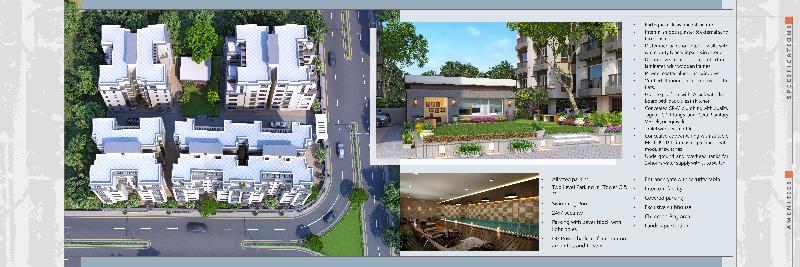 Brochure Designing & Printing 06