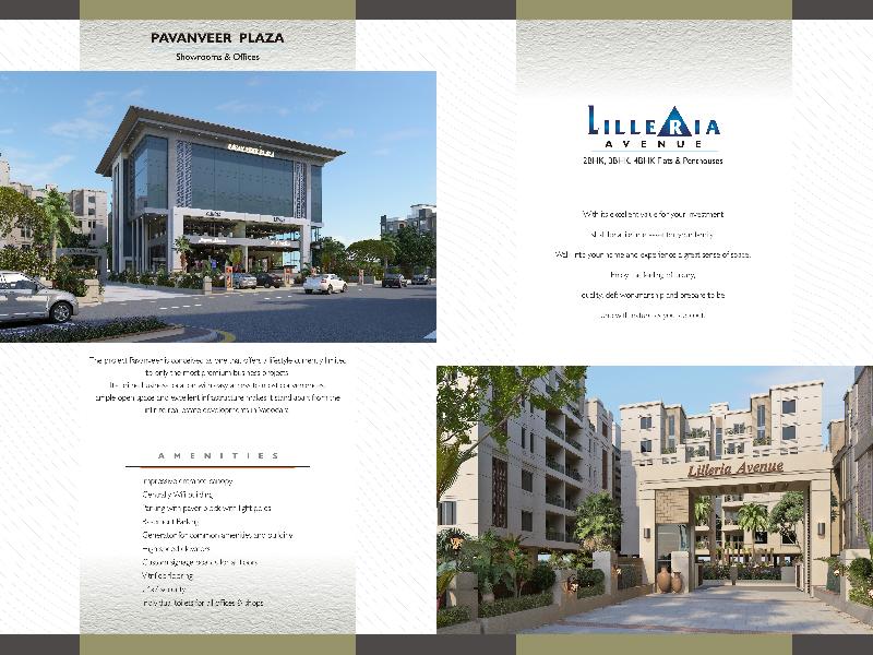 Brochure Designing & Printing 08