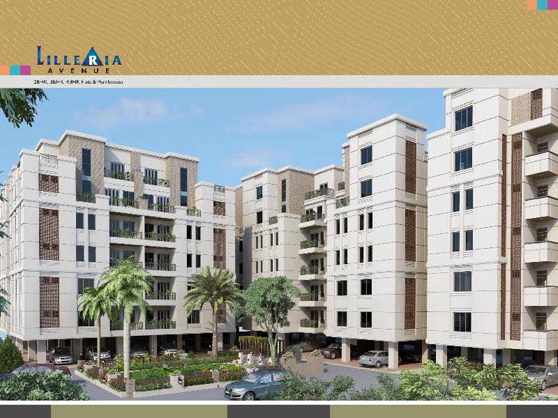 Brochure Designing & Printing 09