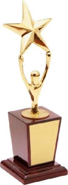 Metal Trophy (AN-660)