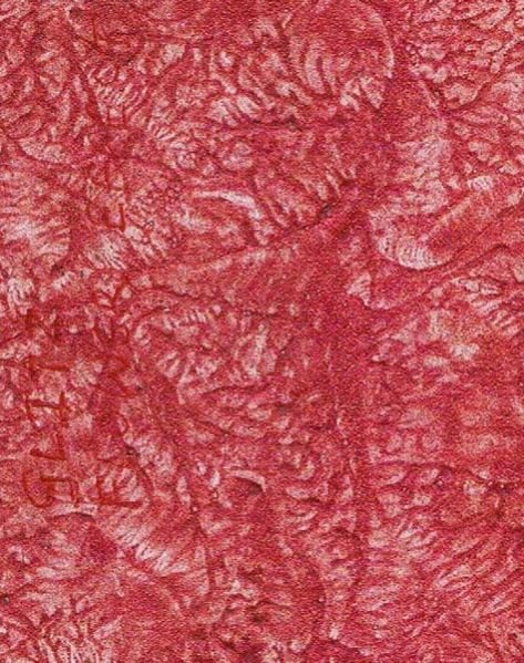 Cosmo Twinkle Velvetto