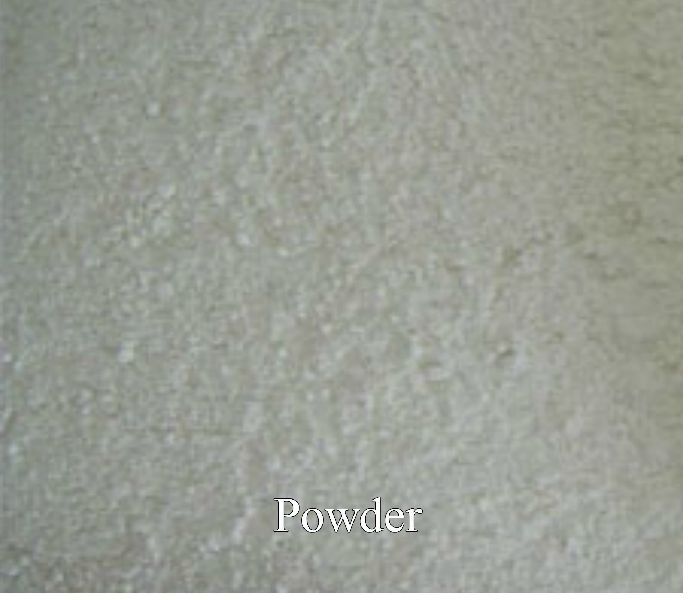 Dehydrated Onion Powder