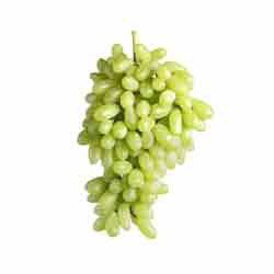 Sonaka Grapes