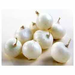 White Onion