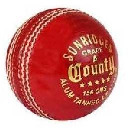 Cricket Ball RIE - 1013
