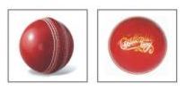 Leather Cricket Ball 02