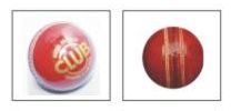 Leather Cricket Ball 05