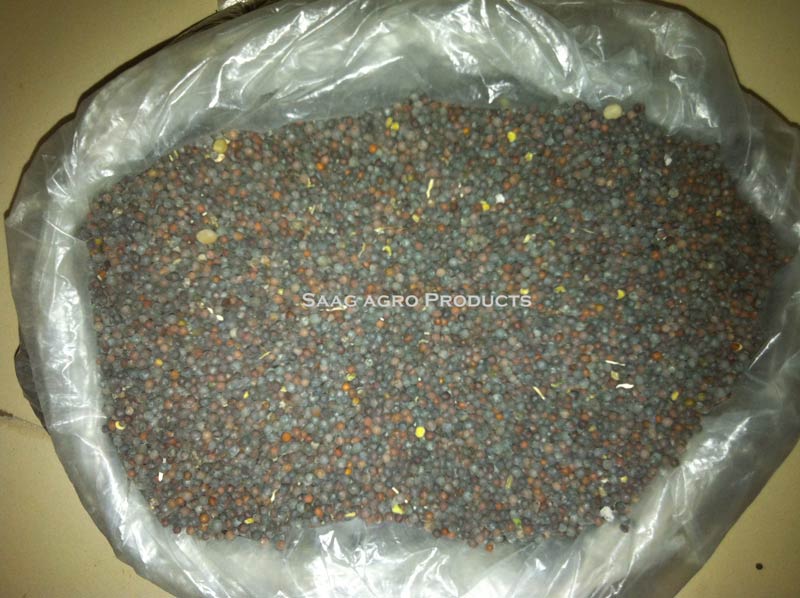 Black Mustard Seeds