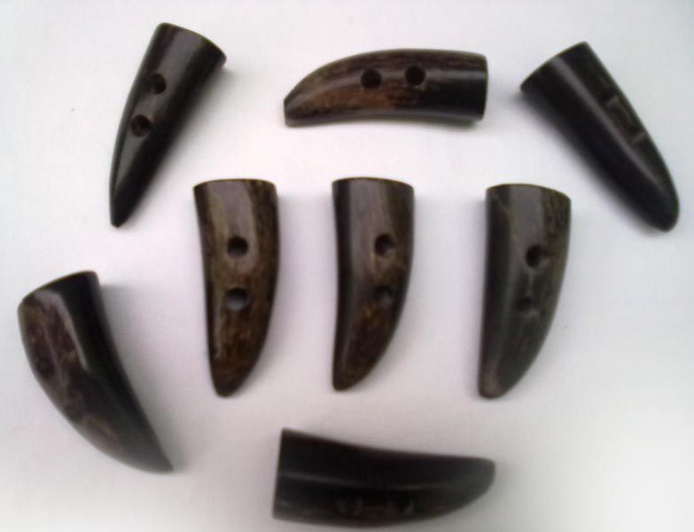 Buffalo Horn Button 05