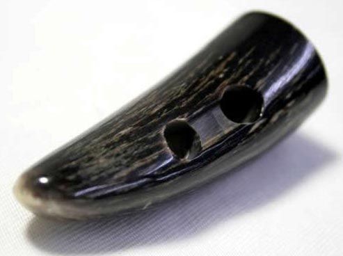 Buffalo Horn Button 07