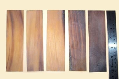 Buffalo Horn Plate 02