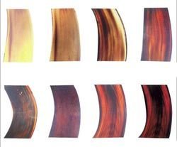 Buffalo Horn Plate 05