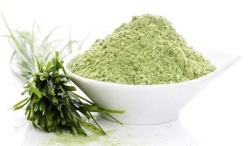 Wheatgrass Powder 01