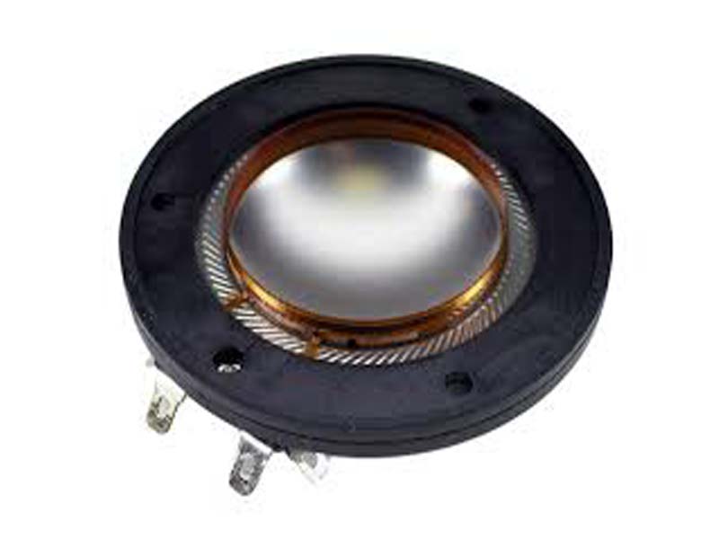 Speaker Diaphragm 10