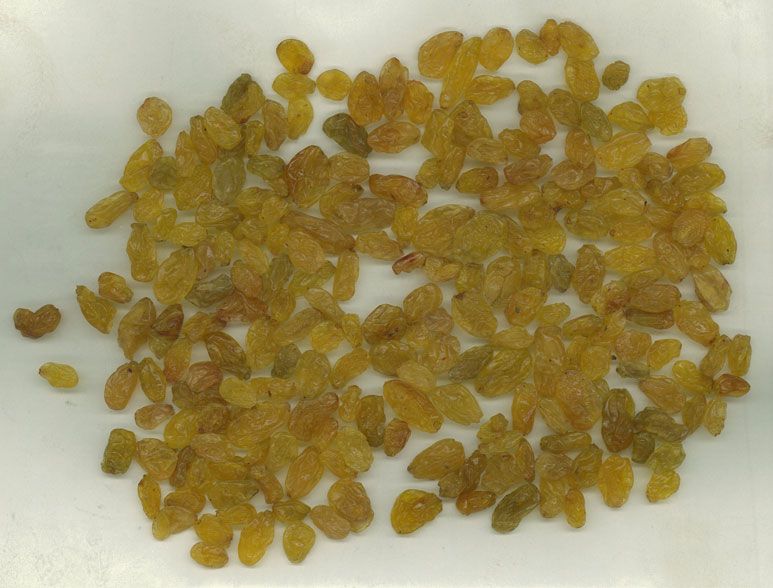 Average Yellow Raisins