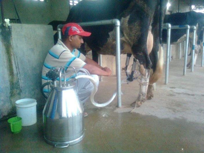 Floor Mounted(Fix) (Modal – SF1) 01