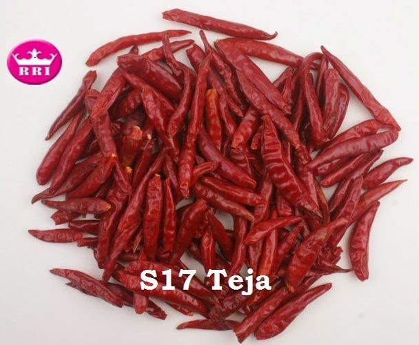 Dried Red Chilli