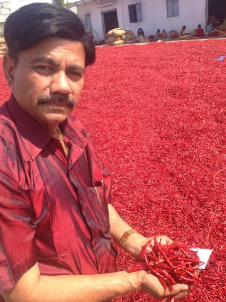 Dried Red Chilli
