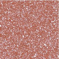  Brown Anti Skid Floor Tile