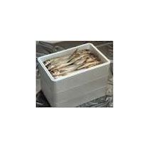 Thermocole Fish Box 1