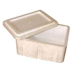 Thermocole Ice Box 1