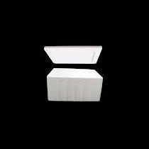 Thermocole Ice Box 2