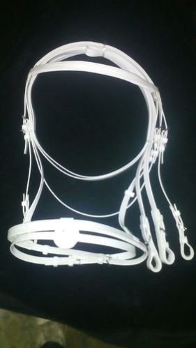 Horse Bridle 01