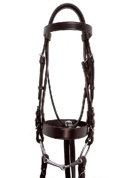 Horse Bridle 05