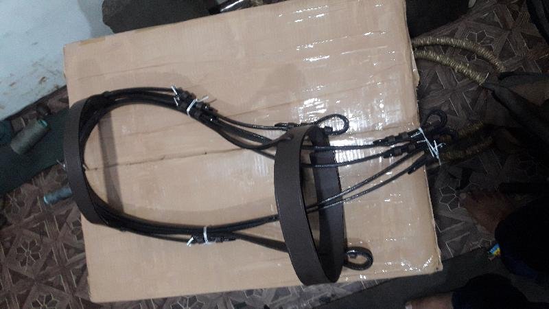 Horse Bridle 04