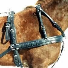 Horse Harness Set 04