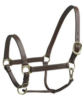 Horse Leather Halter