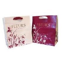 Printed Paper Bags