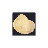 Tint Mint Stepping Stone