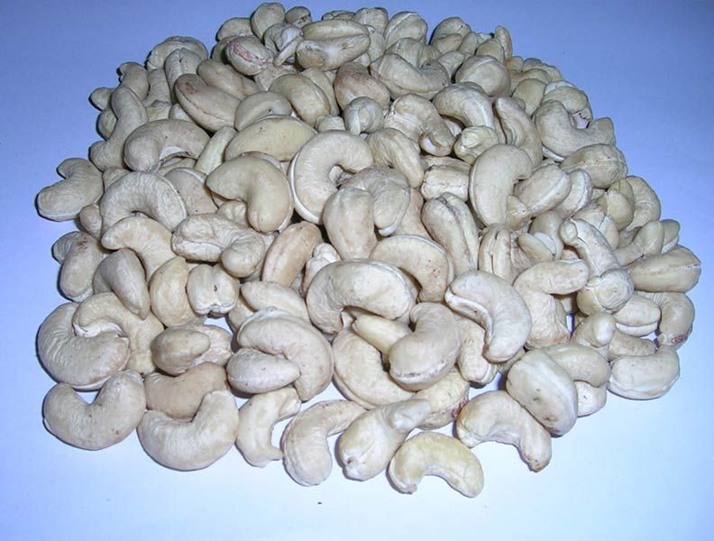 Cashew Kernels 03