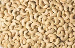 Cashew Kernels 05