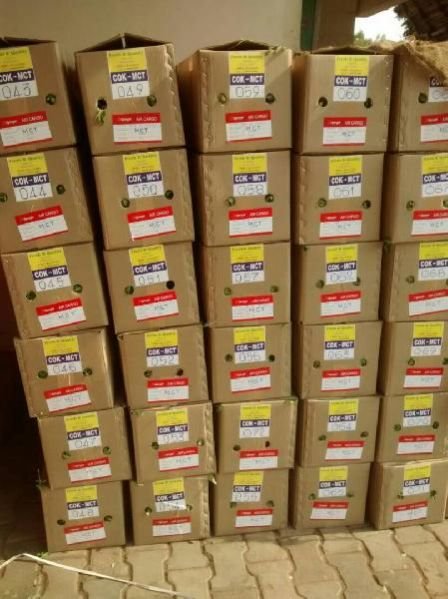 Fresh Curry Leaves 10