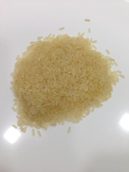 Non Basmati Rice 05