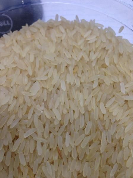 Non Basmati Rice 06