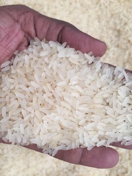 Non Basmati Rice 10