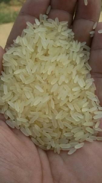 Non Basmati Rice 11