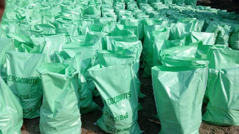 Semi Husked Coconut 02