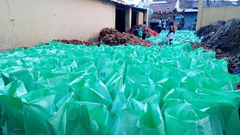 Semi Husked Coconut 03